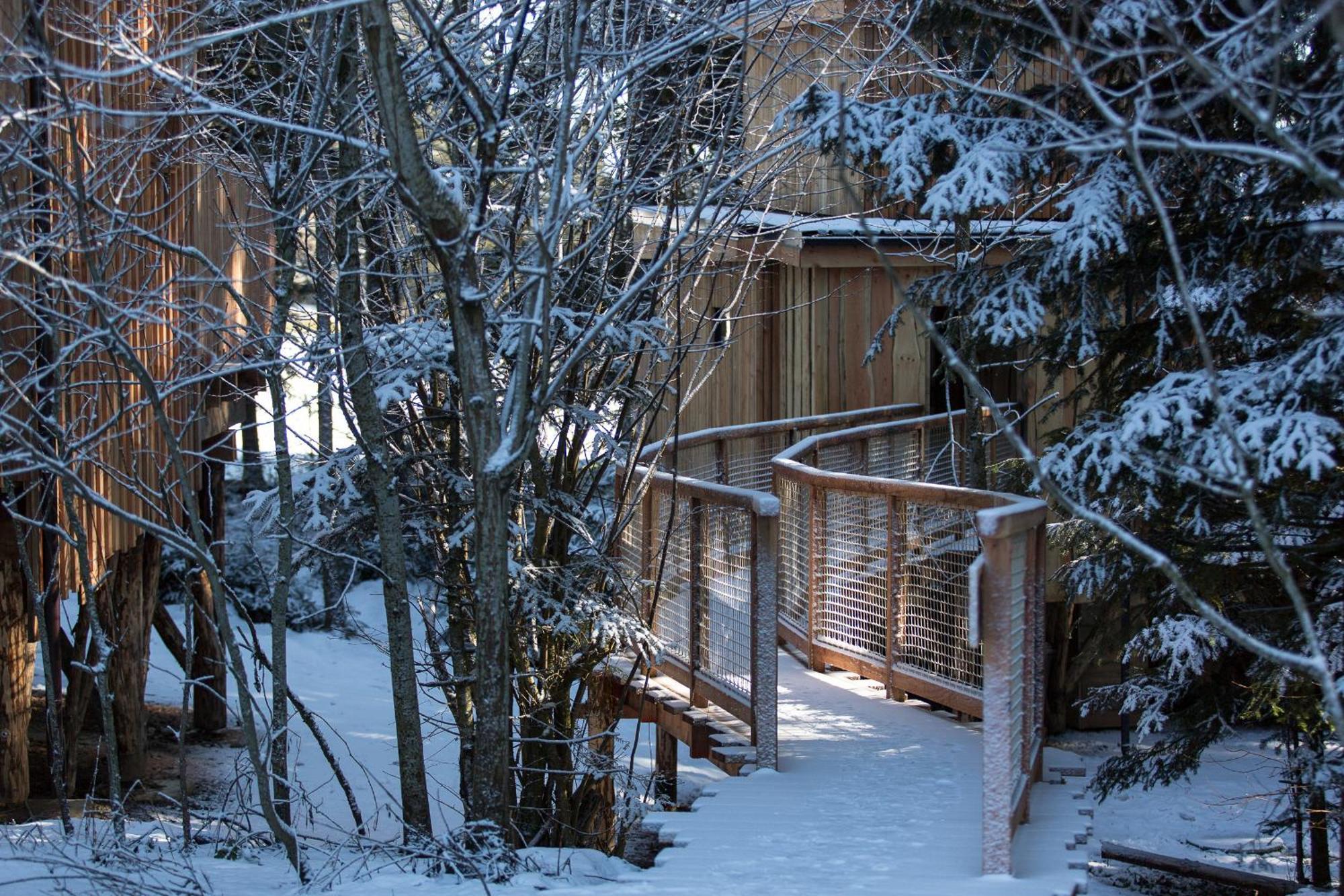 Domaine De L'Authentique Cabanes Dans Les Arbres Fournet-Blancheroche 객실 사진